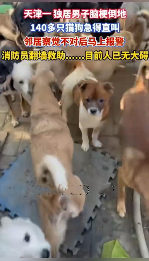 真的太暖心！好心男子收养上百只流浪猫狗，危难时刻毛孩子反过来救了他。

近日，天