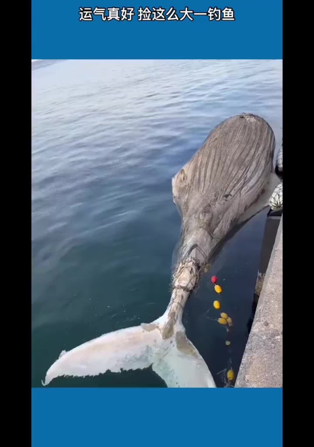 户外海钓