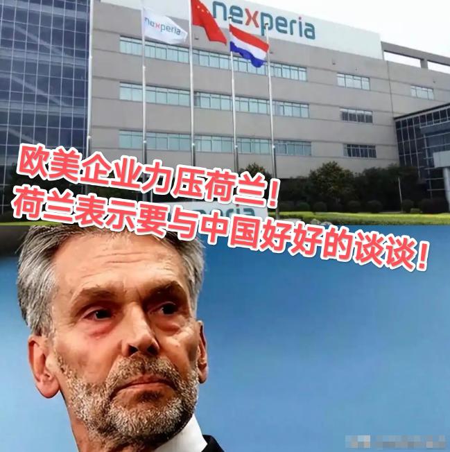 中方反制7天后， 欧美汽车大厂找上门了，荷兰政府表示：要与中国好好谈谈，确保欧美