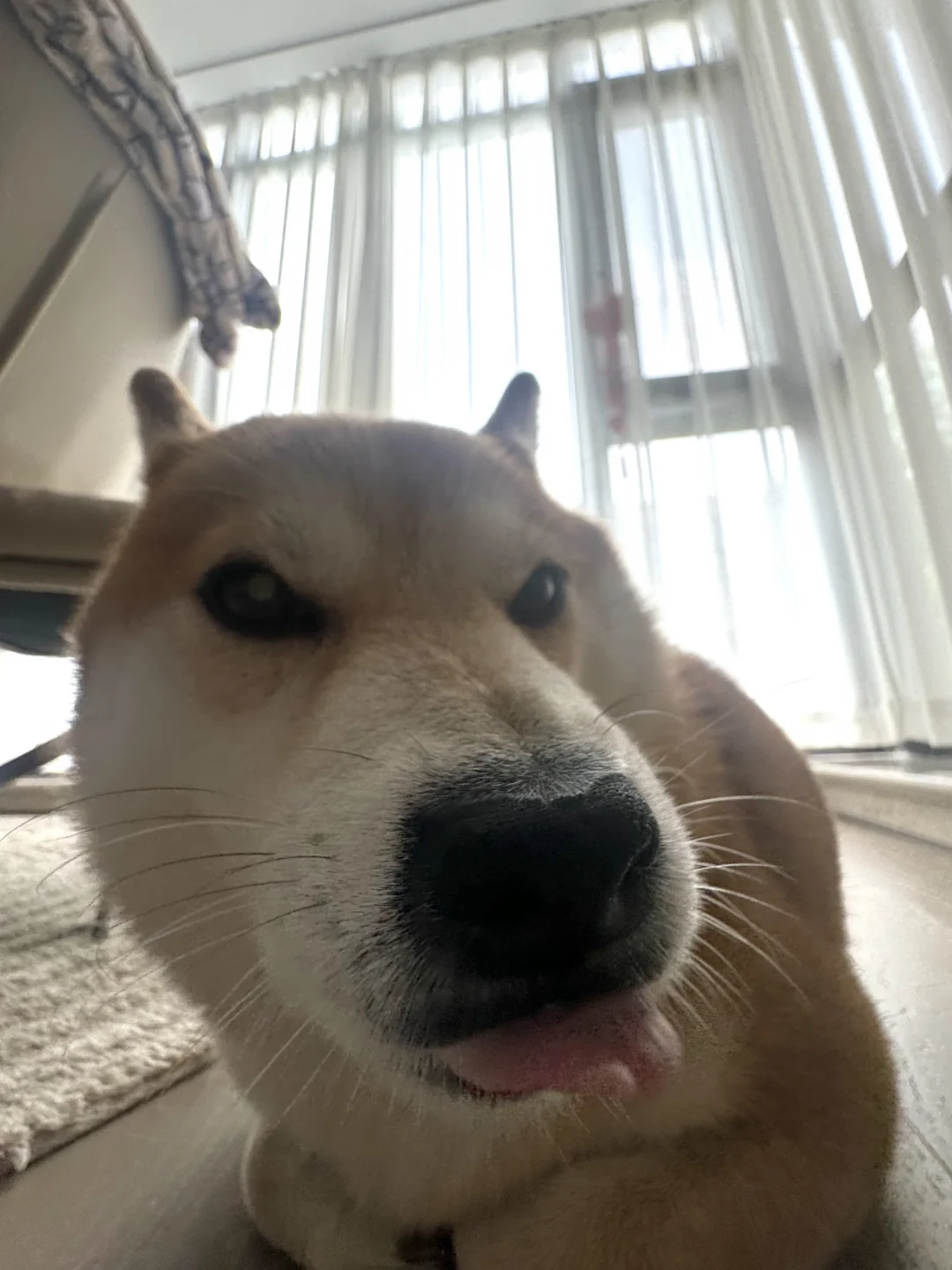 谁敢闻？