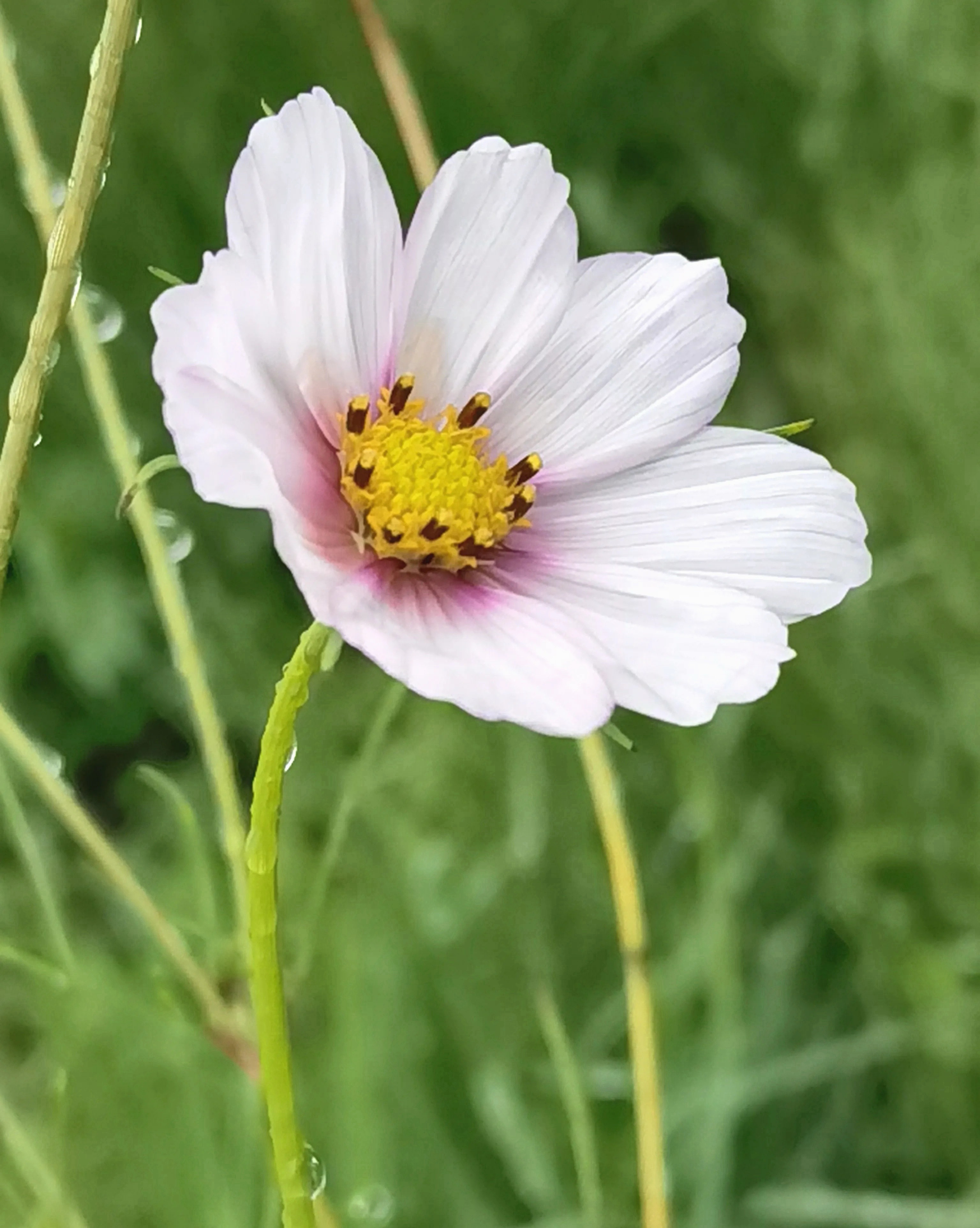 这个节日消息面平静，除了特朗普喊几句自己是海盗，其它的都熄声了。 