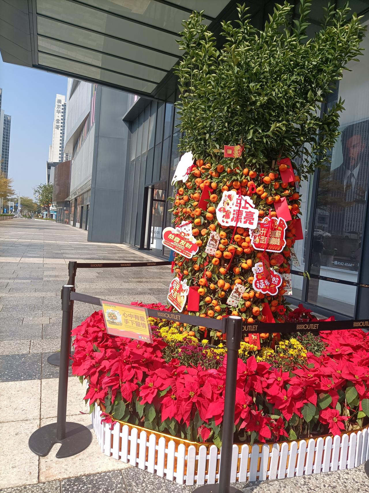 晒出你的本地生活前几天出去，看到超市门囗的年花还开得很好，就是那年桔已经往下掉了