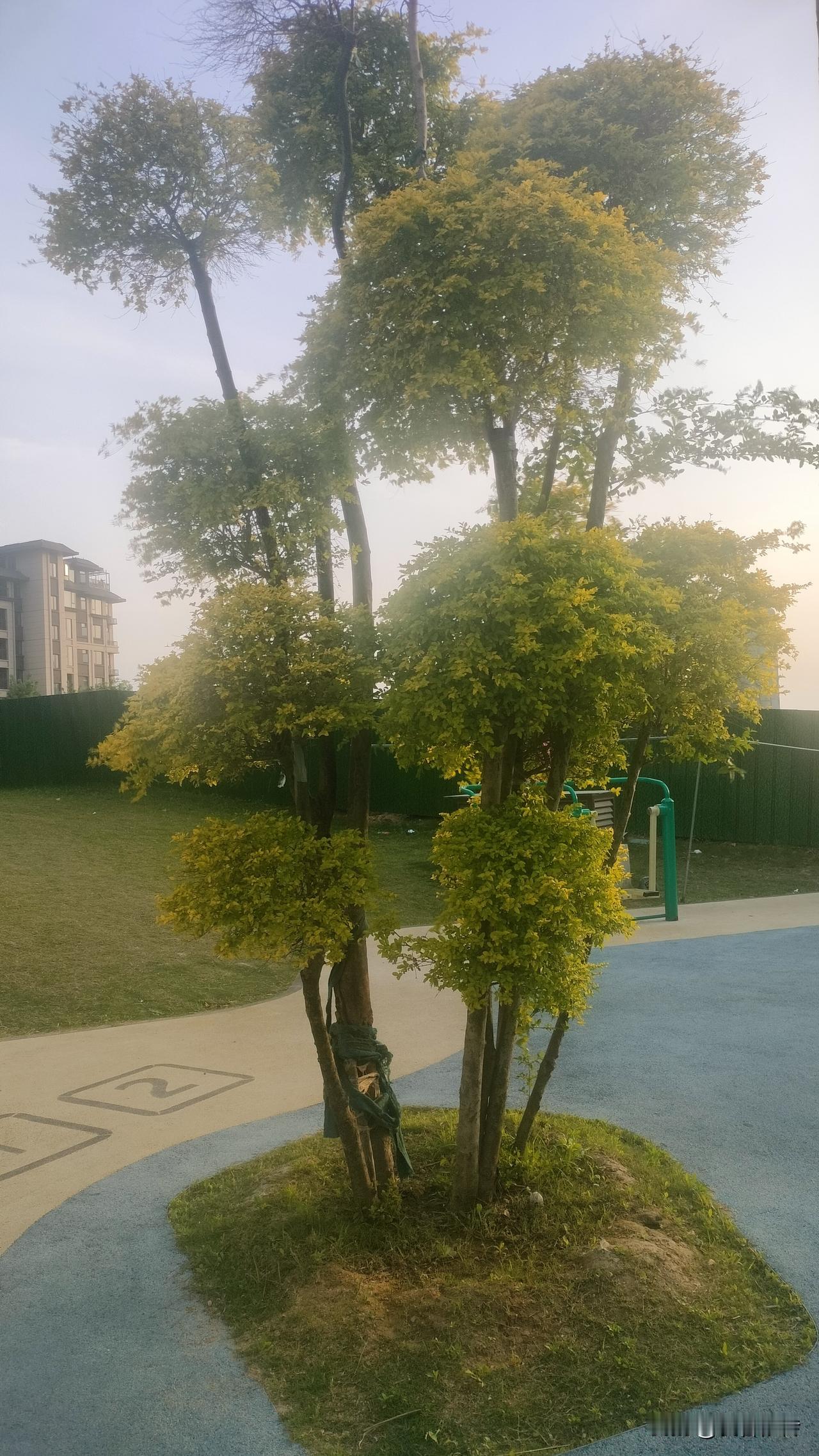 如果不拼命搞钱，可能就没钱养老。如果太拼命搞钱，可能就不需要养老了。到底拼还是不