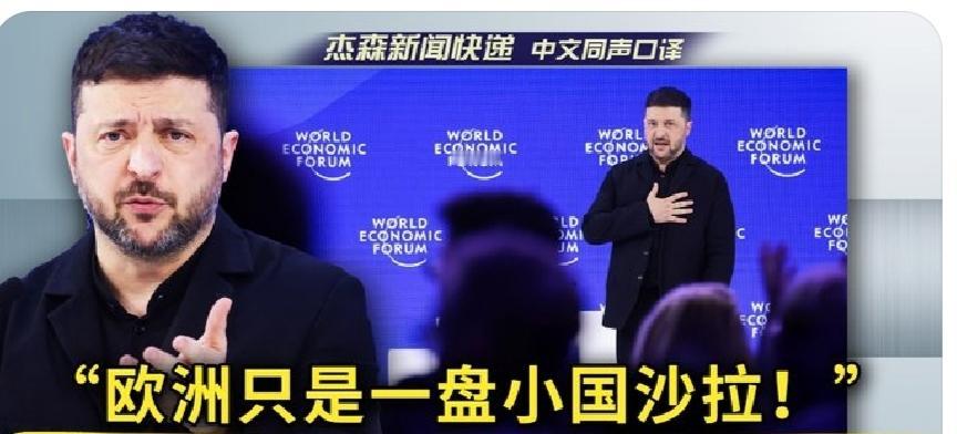 2026达沃斯最扎心演讲！

泽连斯基当面羞辱欧洲：

"一盘小国沙拉，由敌人调