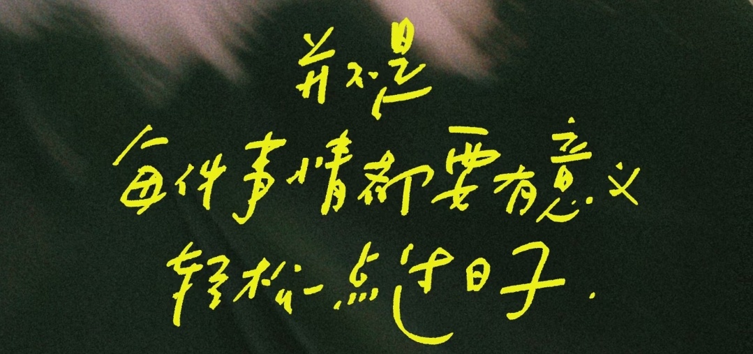 并不是每件事情都要有意义轻松一点过日子/朱迪·皮考特 