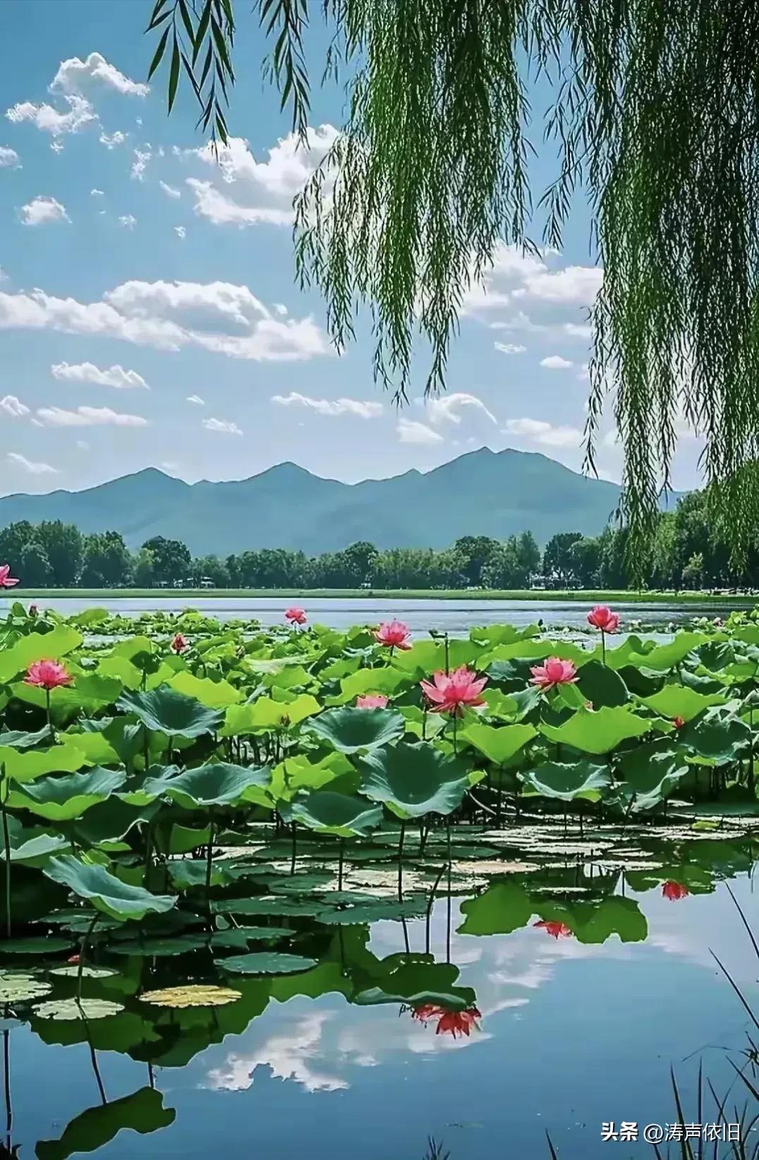 《采桑子·吉祥安康》

天浮祥云地生香，
心载柔肠，
体纳安康。
一片真情岁月长