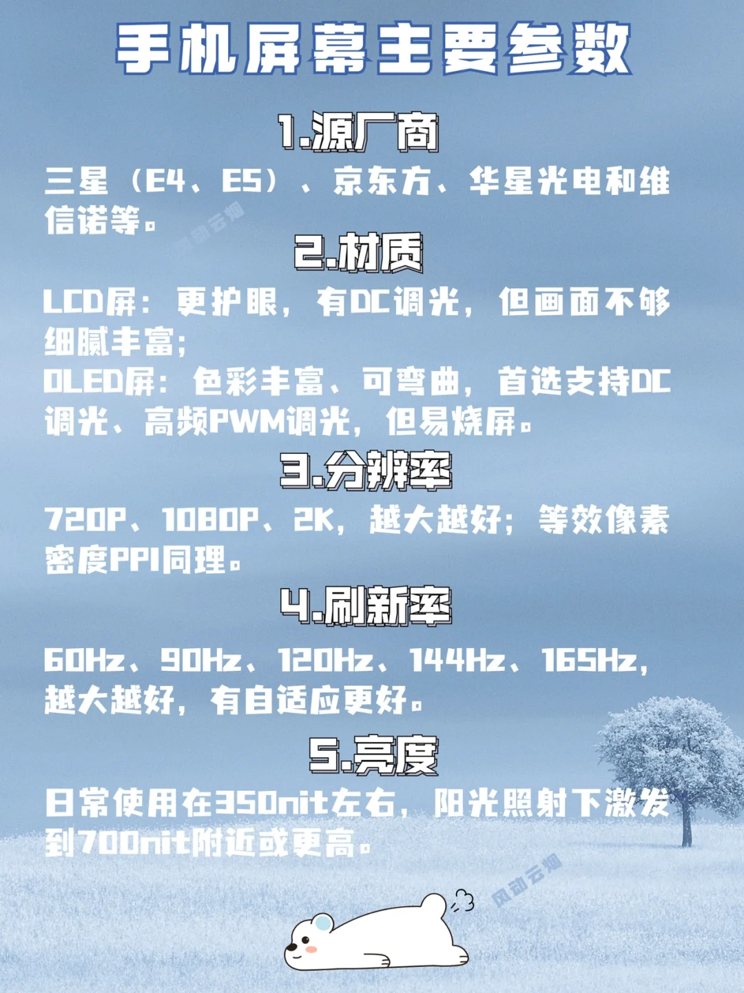 【购机知识】手机屏幕怎么看👀？