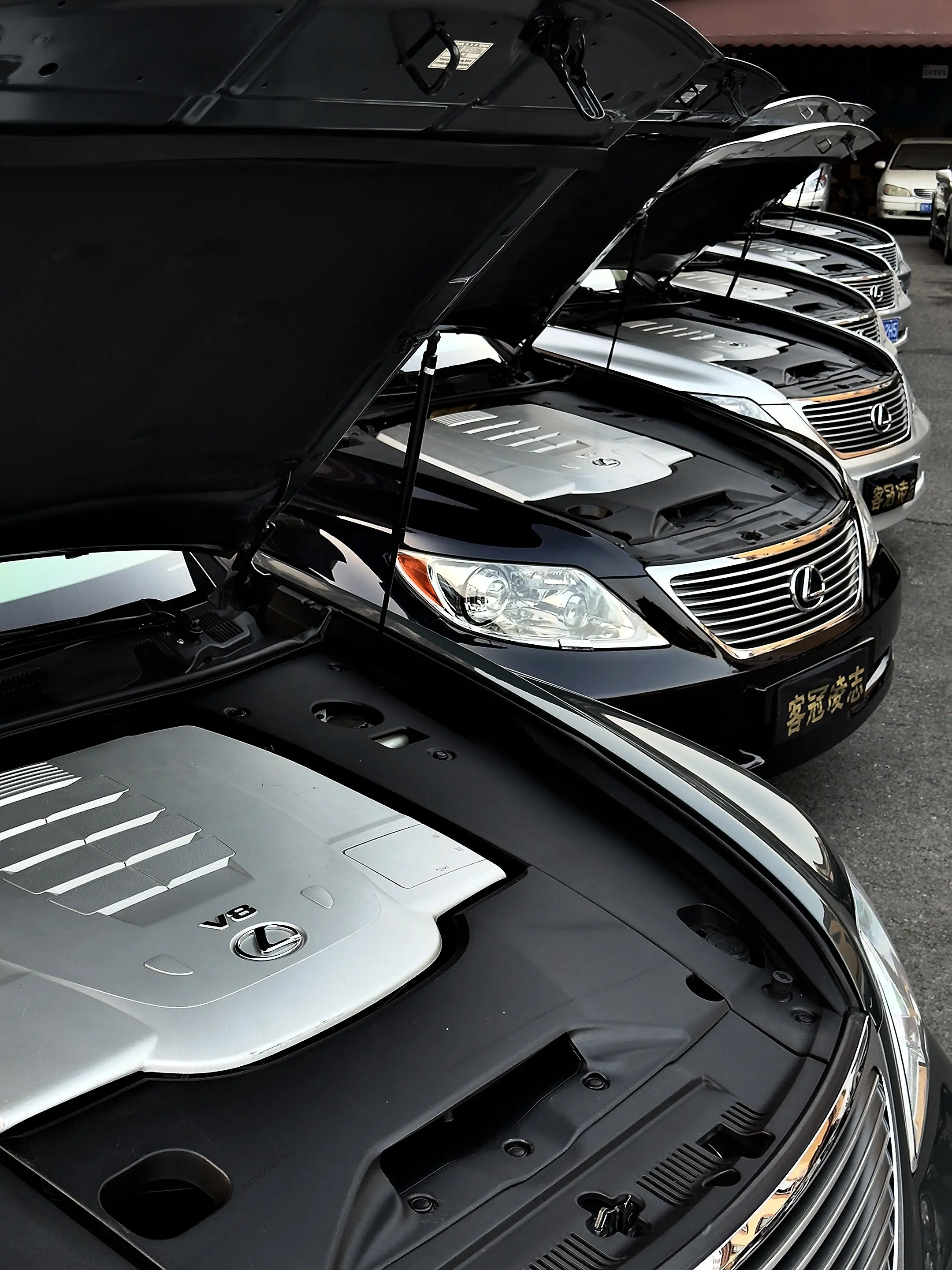 广东男孩的V8梦