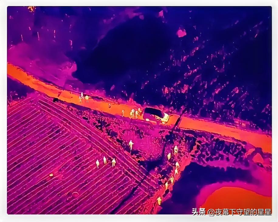 夏付钢，是真没了。 热成像无人机把整片玉米地翻来覆去扫了一整天，连地里蹿的野兔、