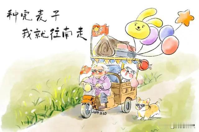 勇敢的人先享受世界！麦子阿姨已经到达西双版纳，67岁的巴厘岛奶奶也游遍了欧洲、埃