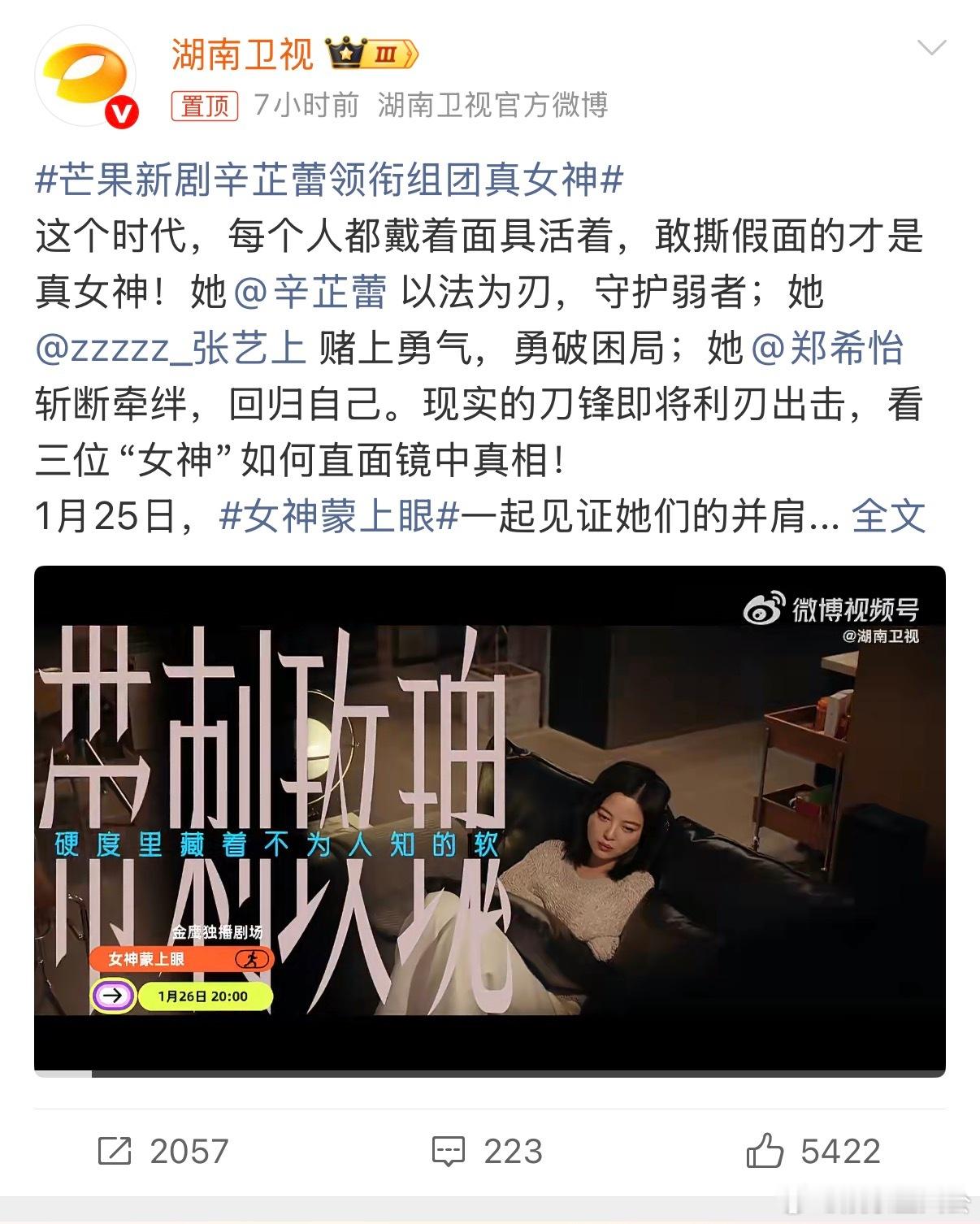 芒果新剧辛芷蕾领衔组团真女神女神蒙上眼 唐盈盈的庭审名场面太过瘾！法条输出行云流