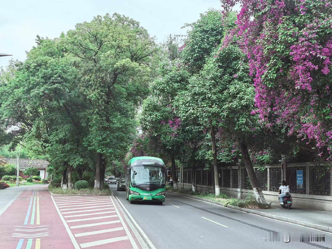 骑车去望江公园，河边的路况好人又少风景美，安逸得很。公园的开放区直接和马路边的绿