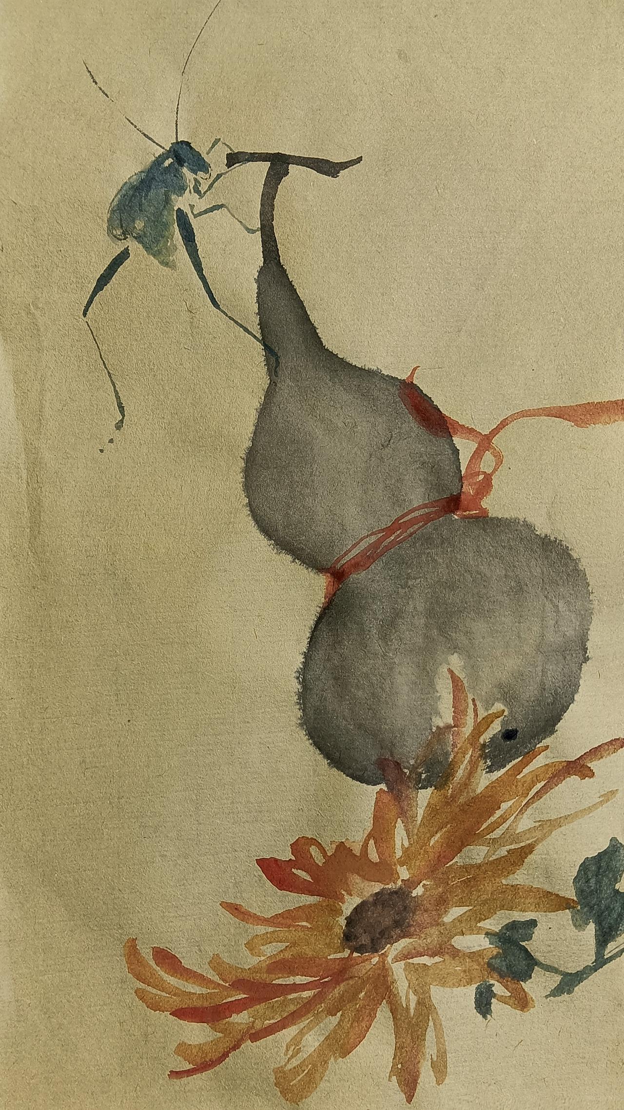 菊花和葫芦