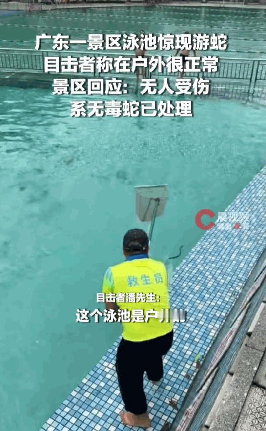 干得漂亮！广东清远太和古洞景区，不少游客花15元门票，慕名前来打卡纯天然山水泳池