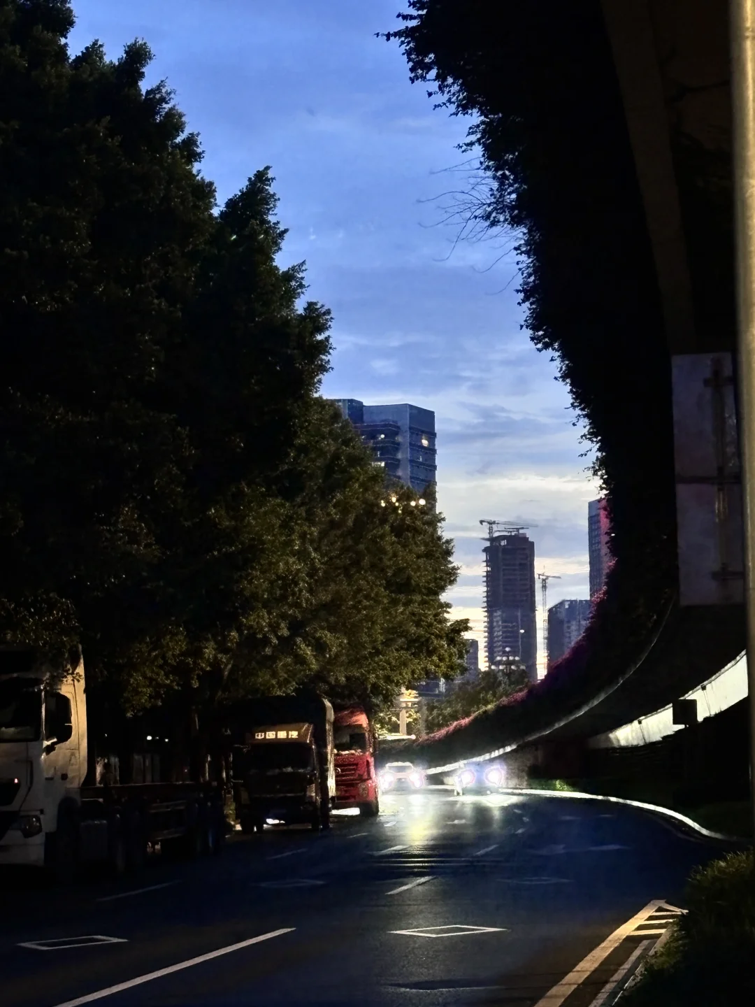好喜欢这条路