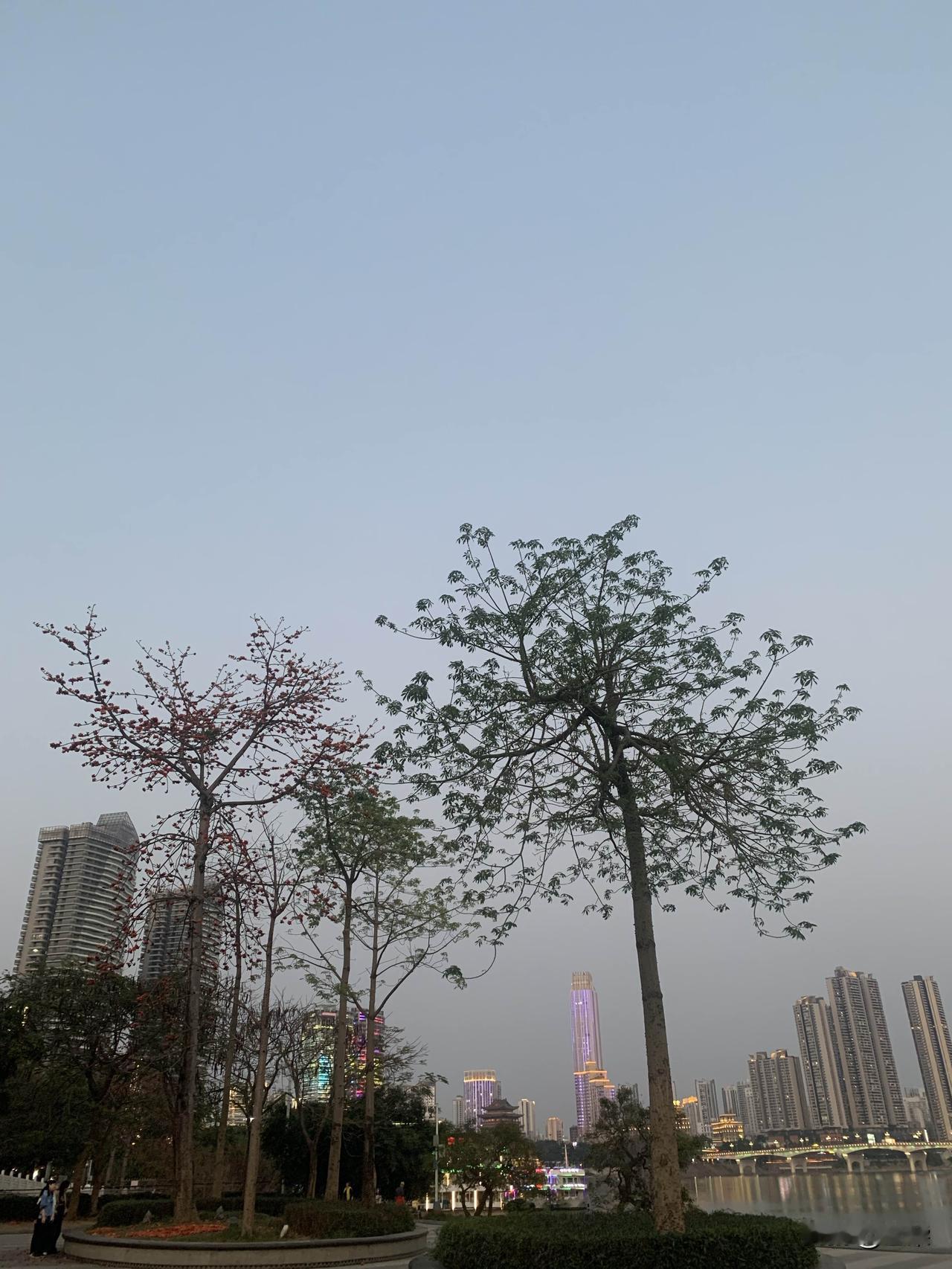 一个善于写作的写作者，必定是热爱生活的人，热爱生活的人，往往都不会缺乏写作的素材