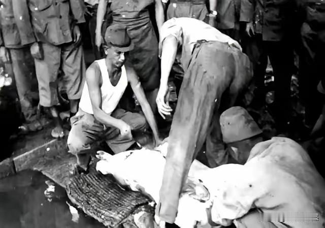 警惕日本鬼子死灰复燃，这头沉寂80多年的恶魔，现在有满血复活的意思，全世界遭受过