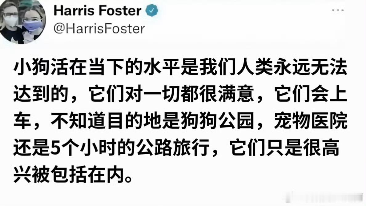 小狗活在当下的水平是人类永远无法达到的情感热点创作激励计划 ​​​