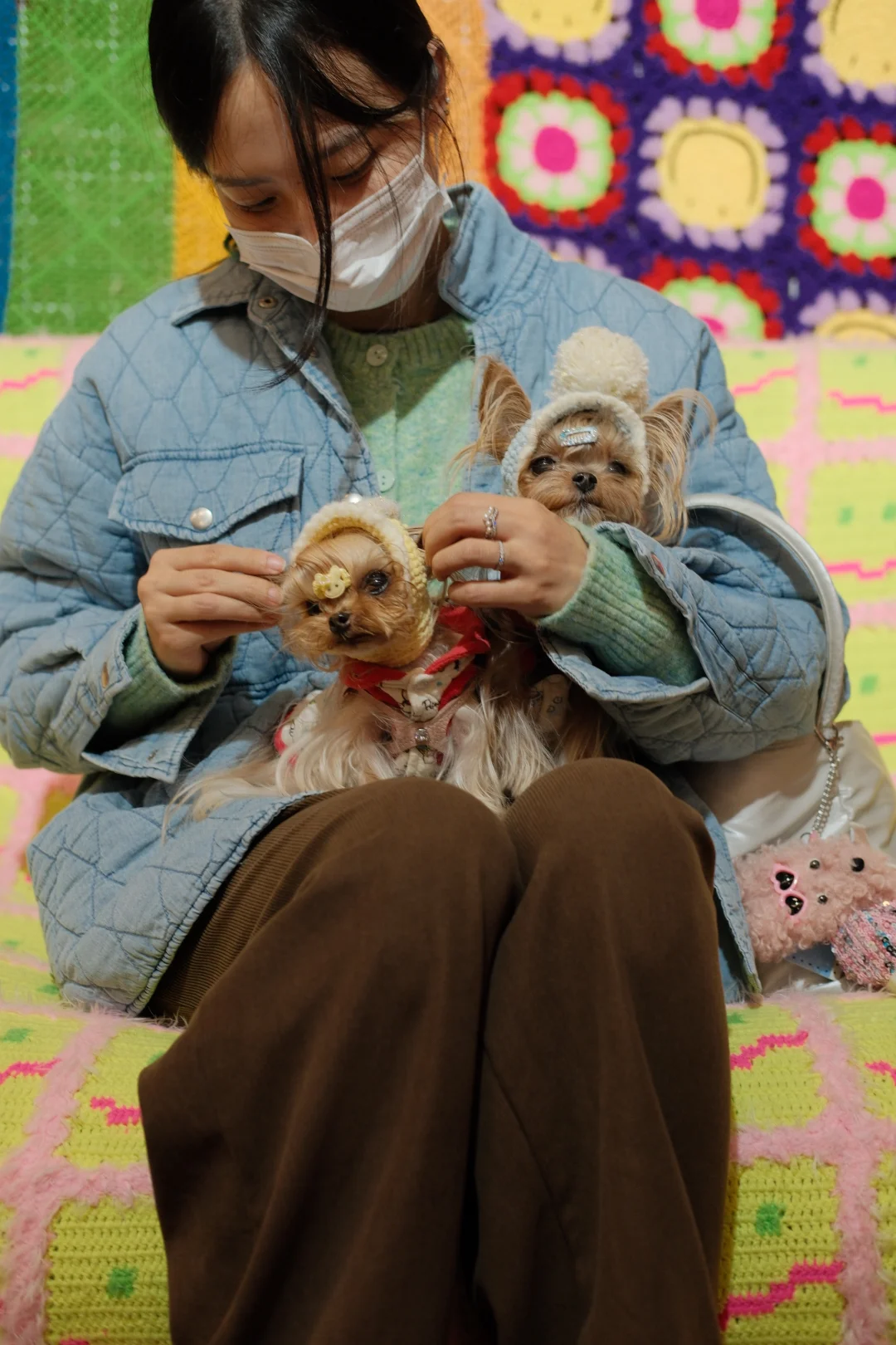 外出169｜小狗来参加织女的聚会啦