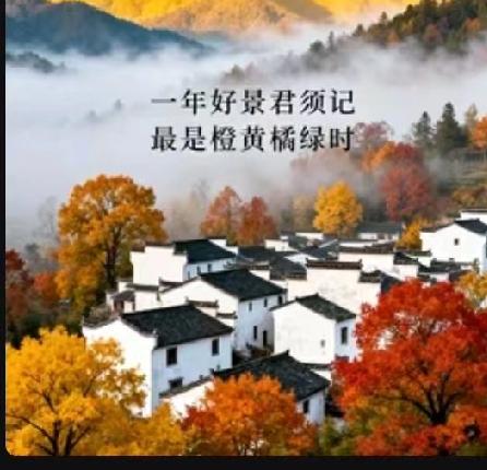 我超支持“未经他人苦，莫劝他人善”。生活里，不少“旁观者”总爱站在道德高地劝人宽