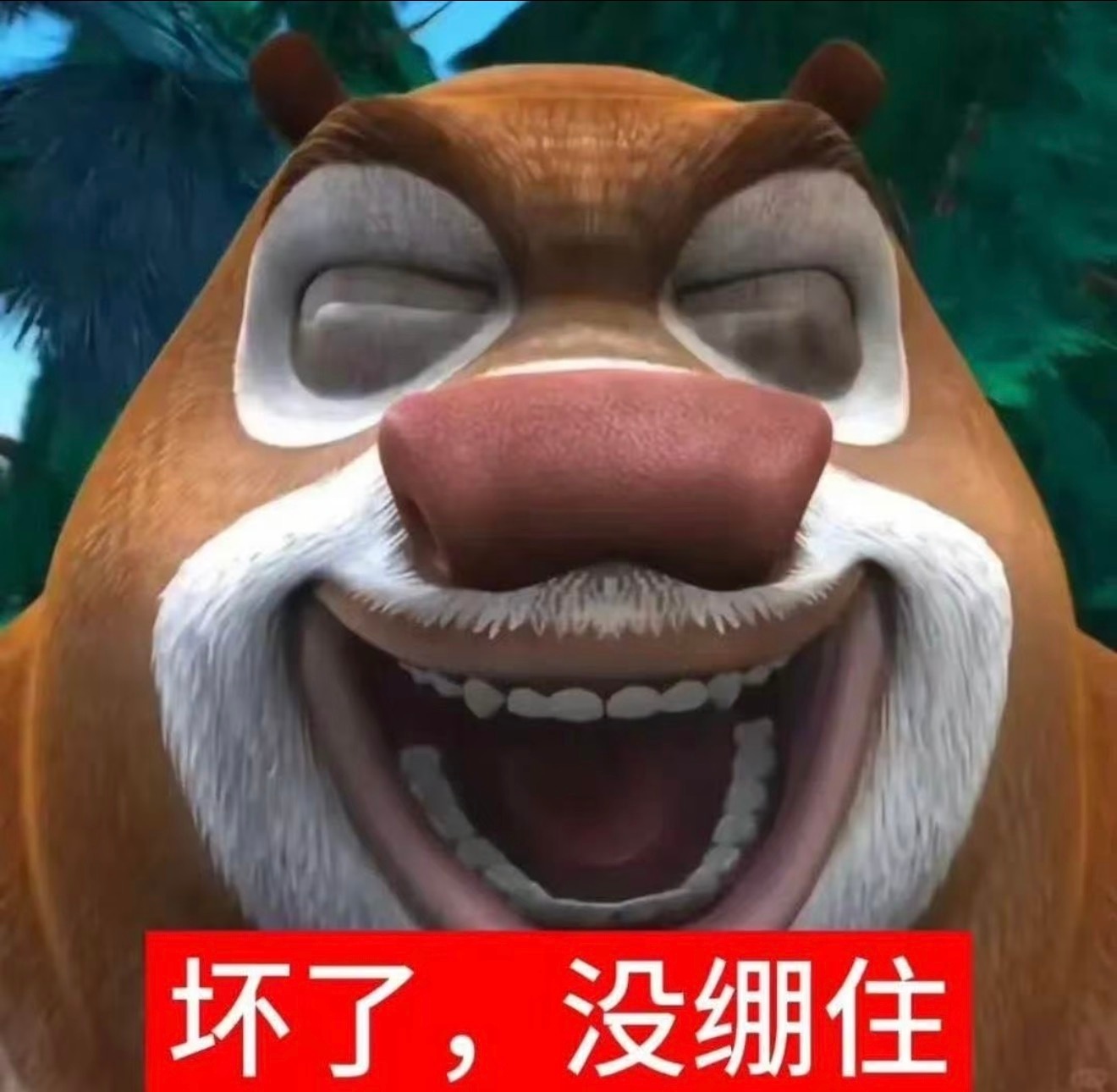 分享图片 ​​​