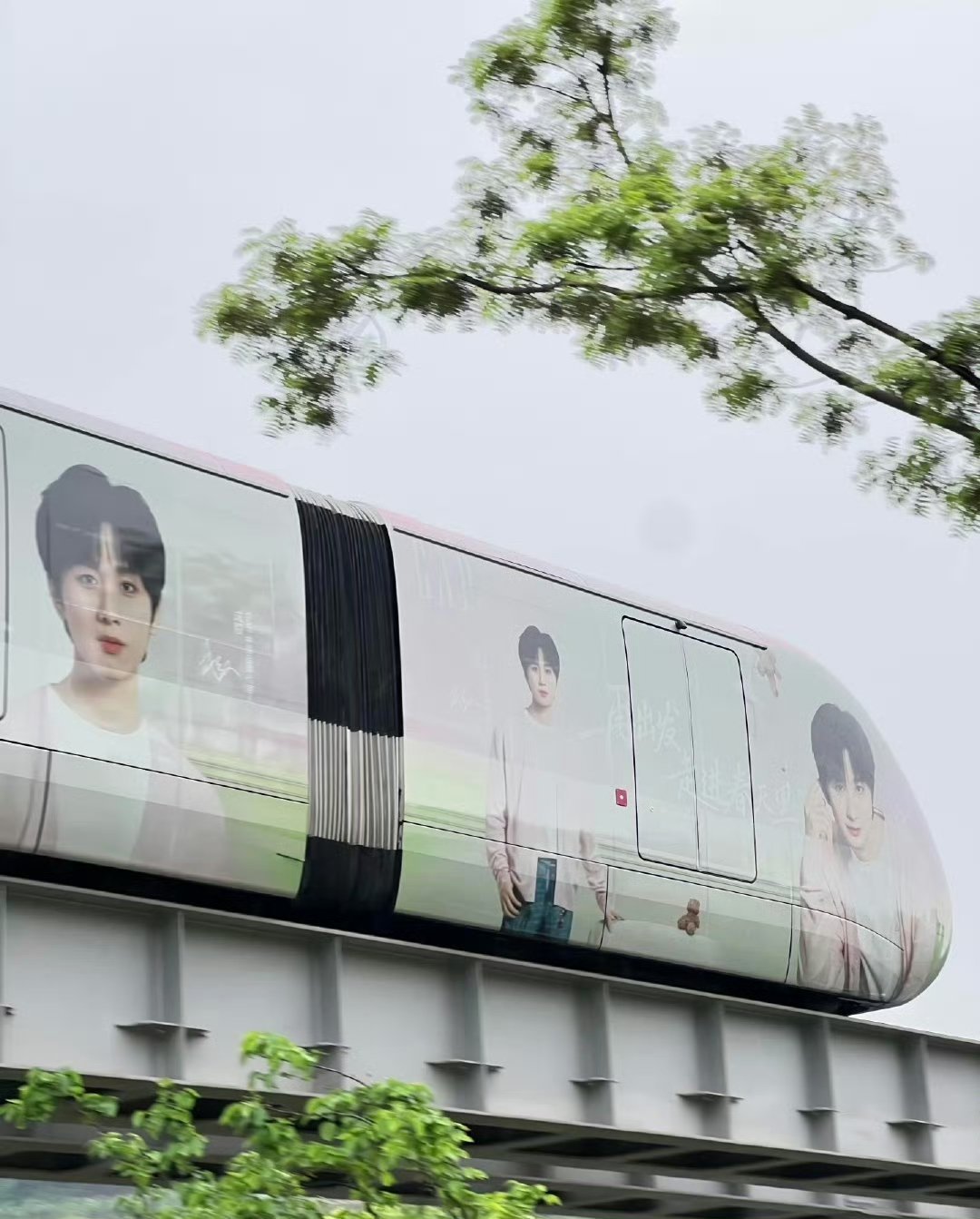 成毅轻轨应援轻轨载热爱，果果赴山海，成毅值得所有偏爱 