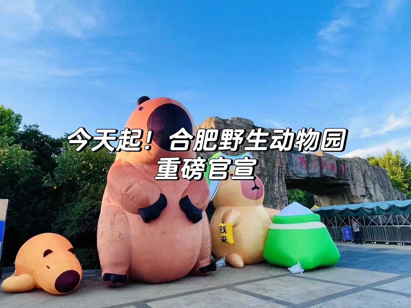 今天起！合肥野生动物园重磅官宣👍
