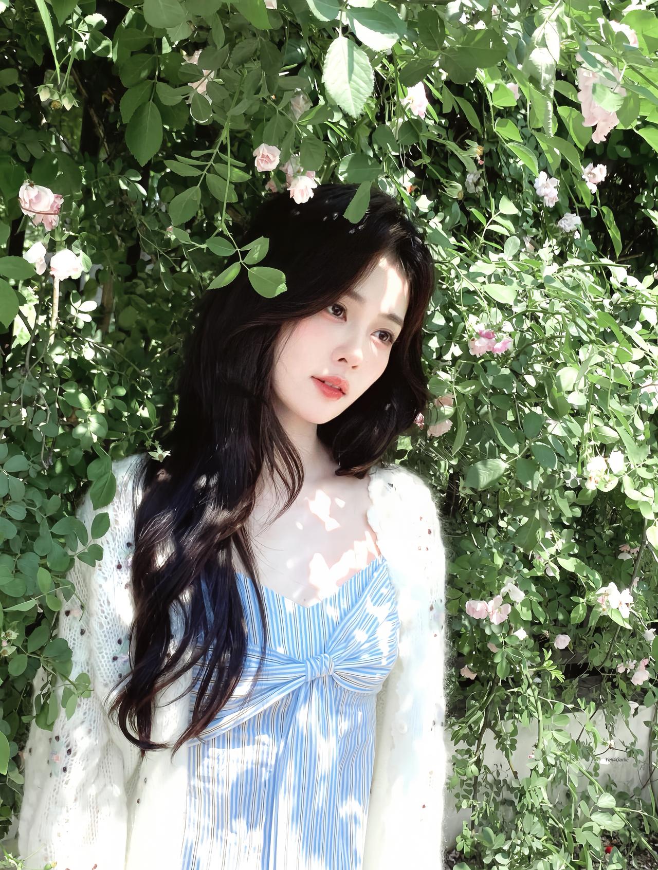 blossoms˖ ꒰͡ ͜ ï ͜ ͡꒱ ⁺ 白鹿 ​​​
