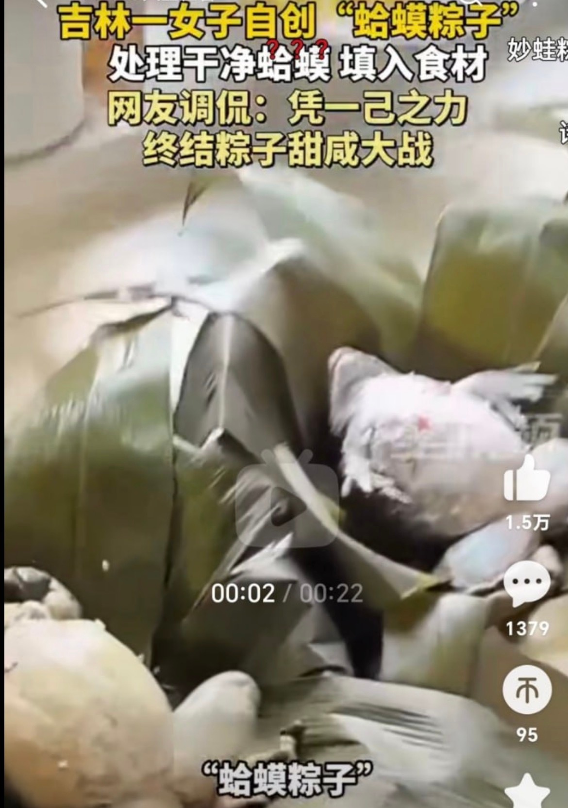 端午节你们吃什么馅的粽子呀？ 
