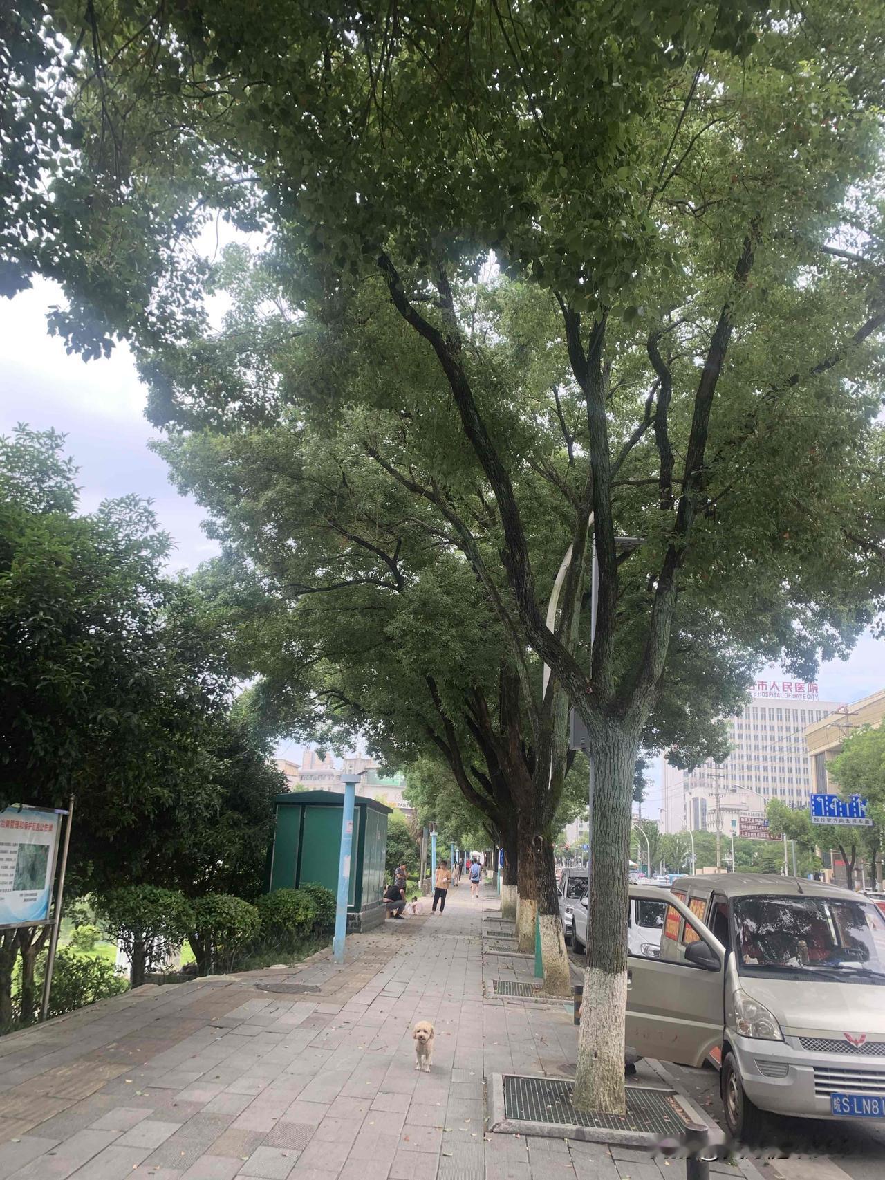 如何能做到鱼与熊掌兼得？

古语有言鱼和熊掌不可兼得，依照传统认知，两件利好事物