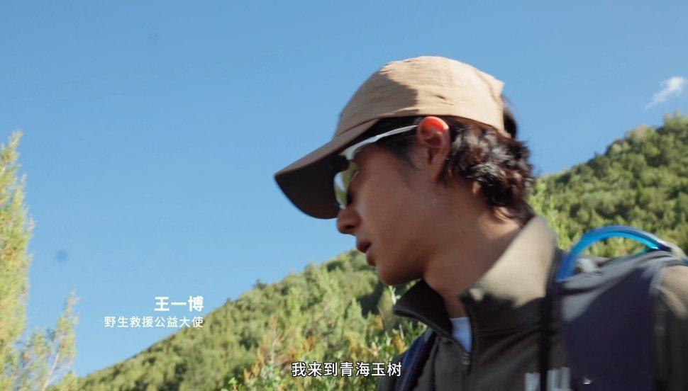 这个造型我马上想到了他兔[思考] ​​​