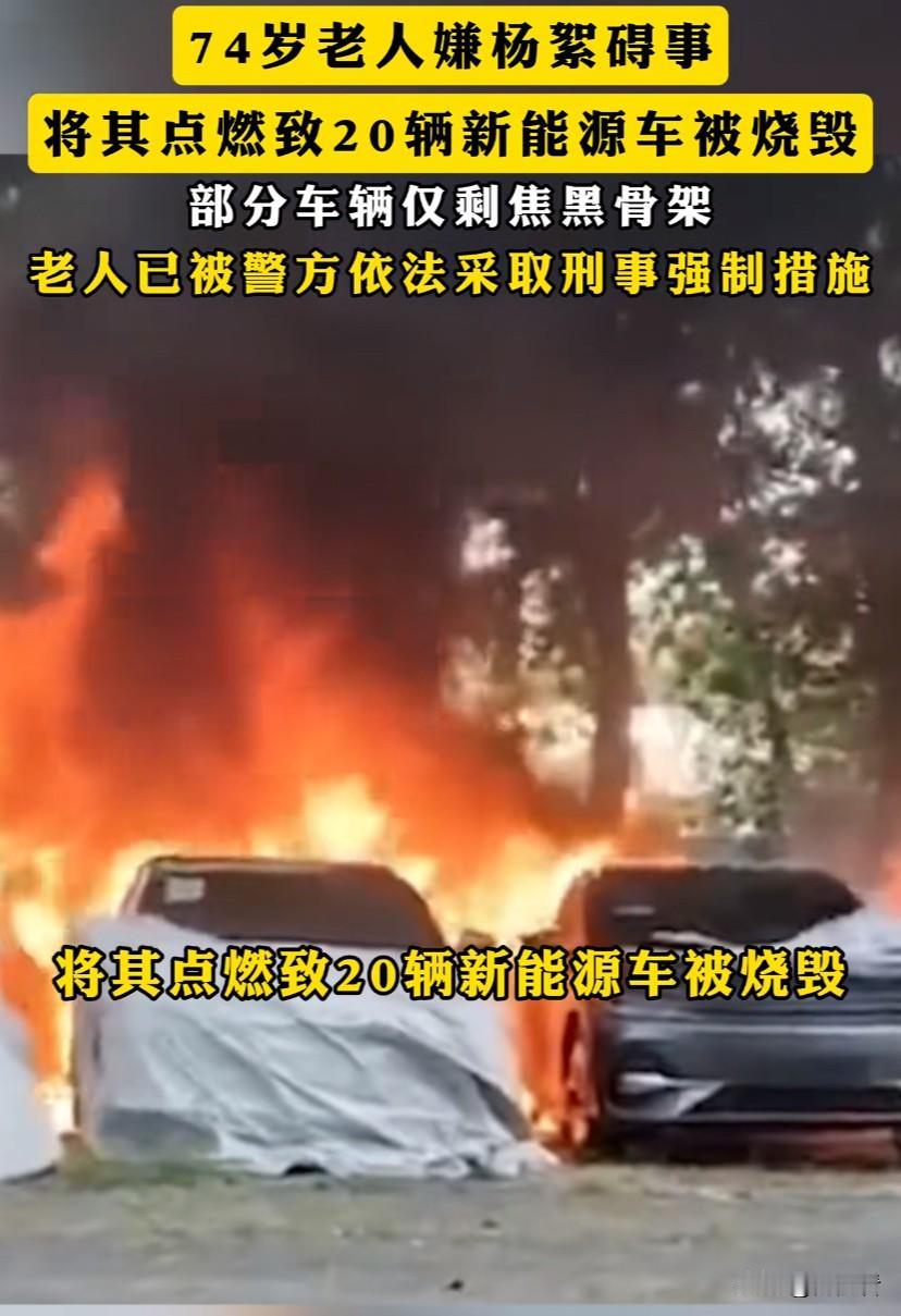 74岁大爷闯下天大的祸，一把火烧了20辆车，20辆车全被烧毁，大爷有钱还好说，没