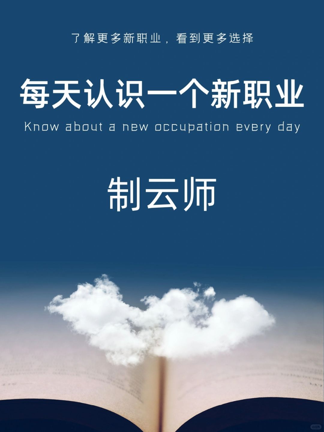 每天认识一个新职业｜制云师