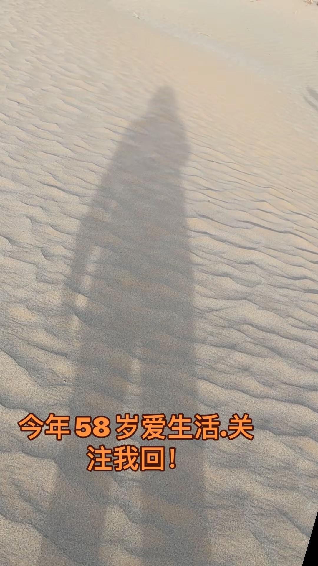 生活的 某个瞬间就像这沙河一样！风起影自斜，心向阳处背悠扬。莫执已逝的风与梦/前