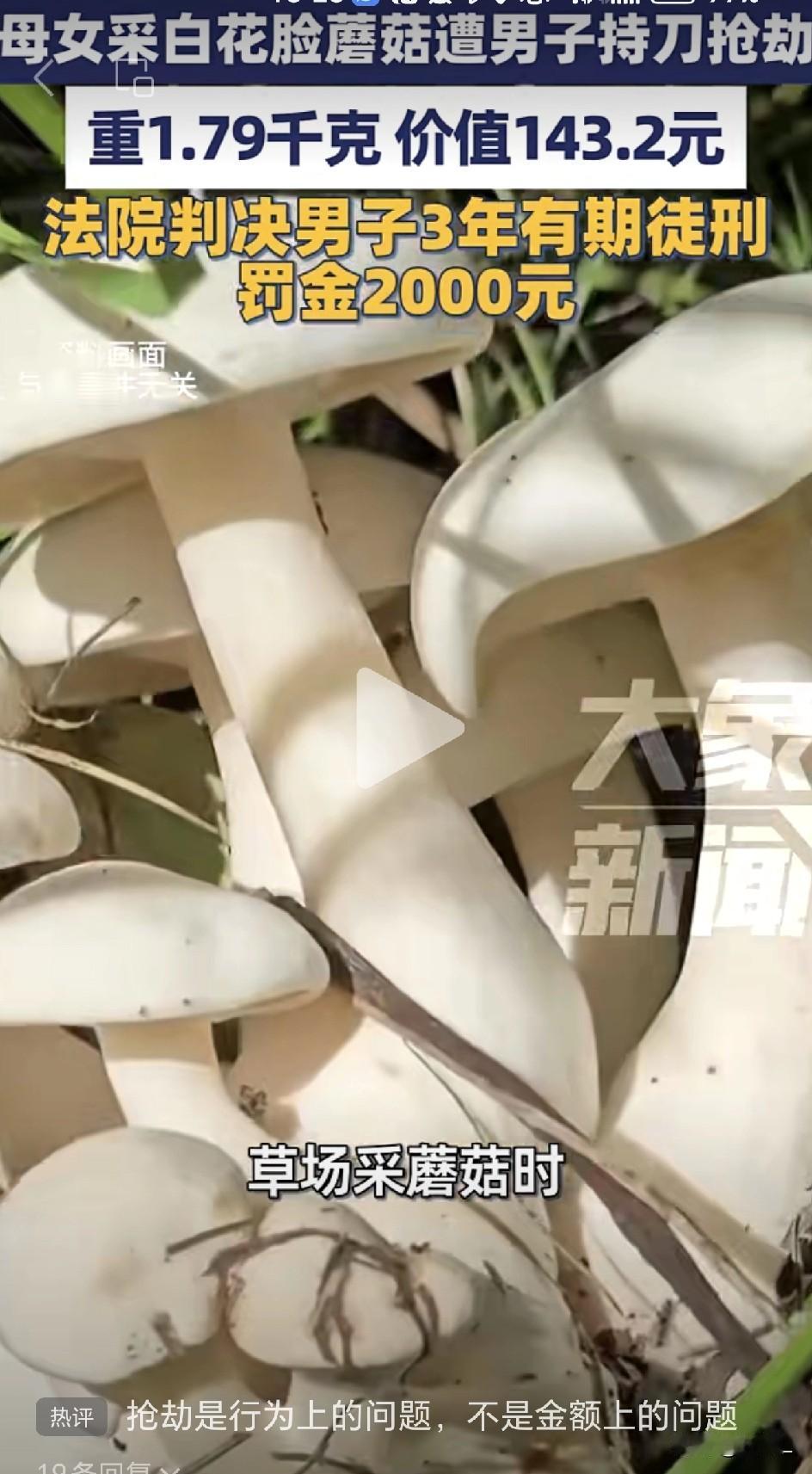 蘑菇引发的“血案”：抢了1.79公斤野蘑菇，男子喜提三年“包吃包住”！

法院判