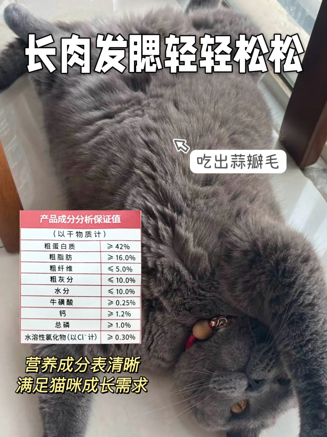 一不小心喂成猪了，这猫粮属实有点厉害