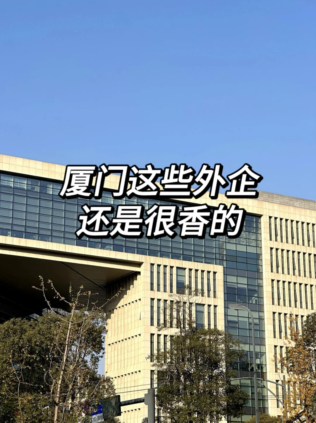 厦门这些外企还是很香的