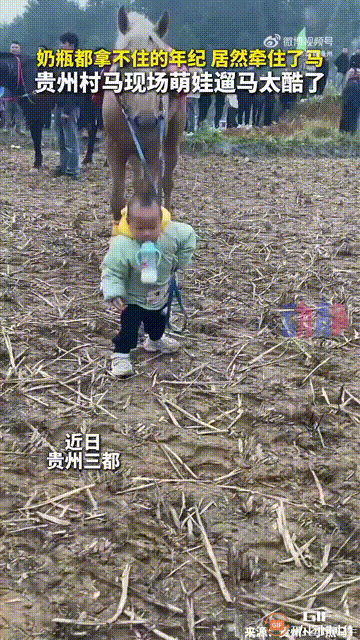 贵州黔南三都一处赛马现场，一个宝宝嘴里叼着奶瓶，身后却牵着一匹马的模样，瞬间吸引