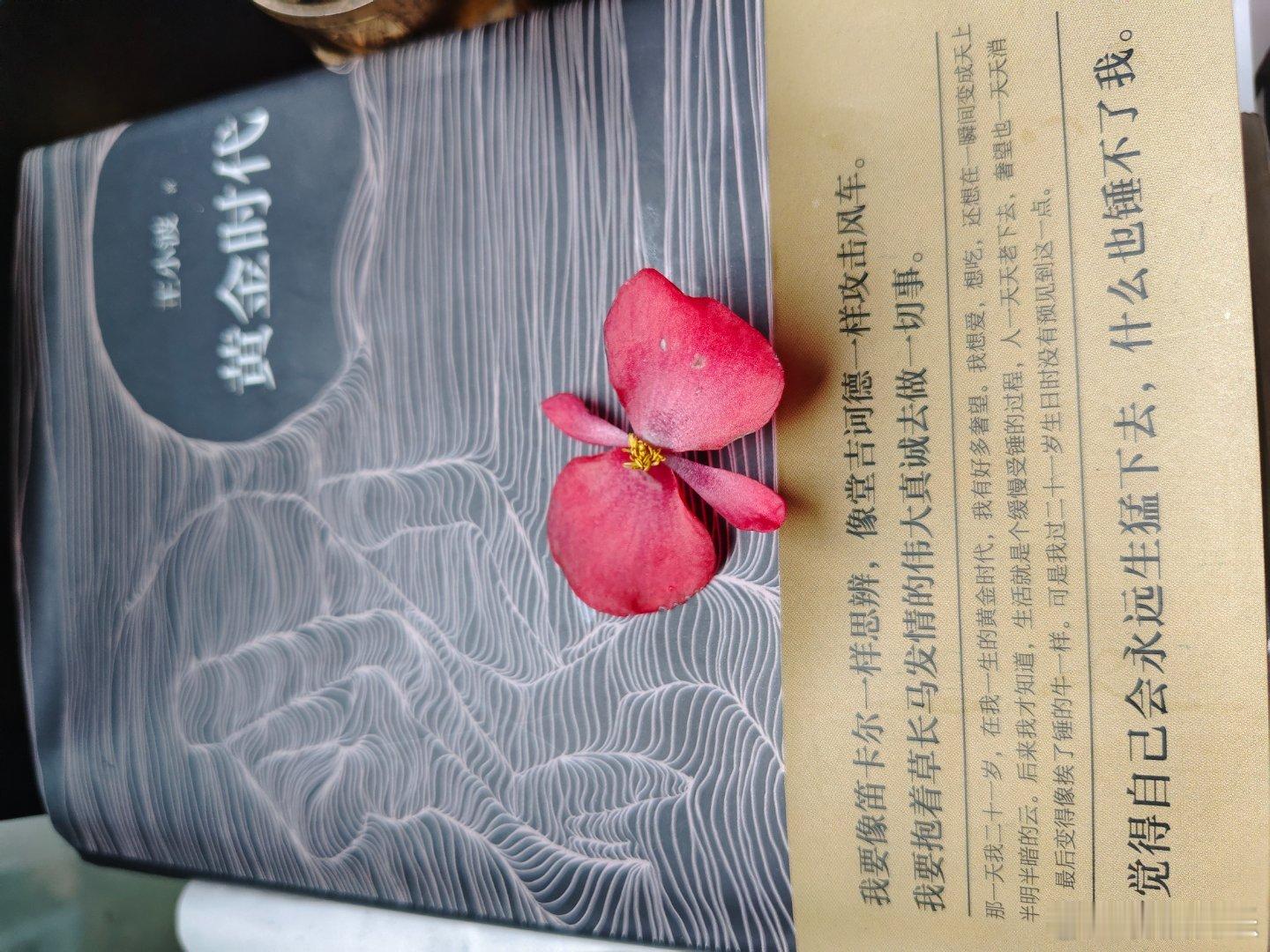 《悟梦》时常遗憾梦里获得失真，更应庆幸梦里失去为虚。昨夜又做了类似纠缠的梦，梦里