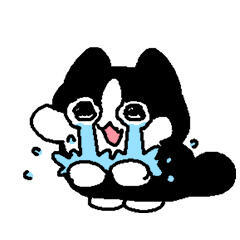 奶牛猫奶尼表情包表情包[超话] ​​​