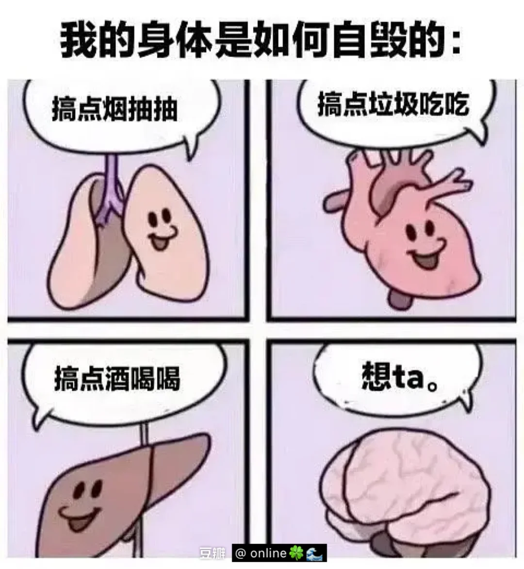 11.24平平无奇的一天