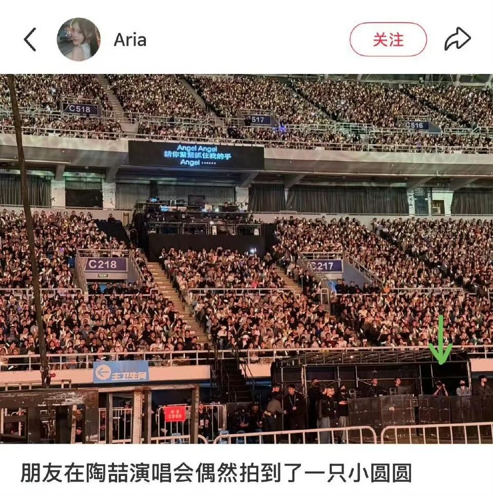 娱乐王源去陶喆演唱会了王源去了陶喆演唱会 一张照片就能发现一只小圆圆 