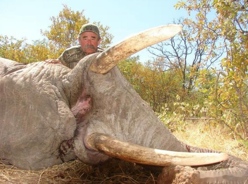 美国富豪赴非洲狩猎 遭象群踩踏身亡海外新鲜事 美国加州富豪欧内斯特·多西奥（Er