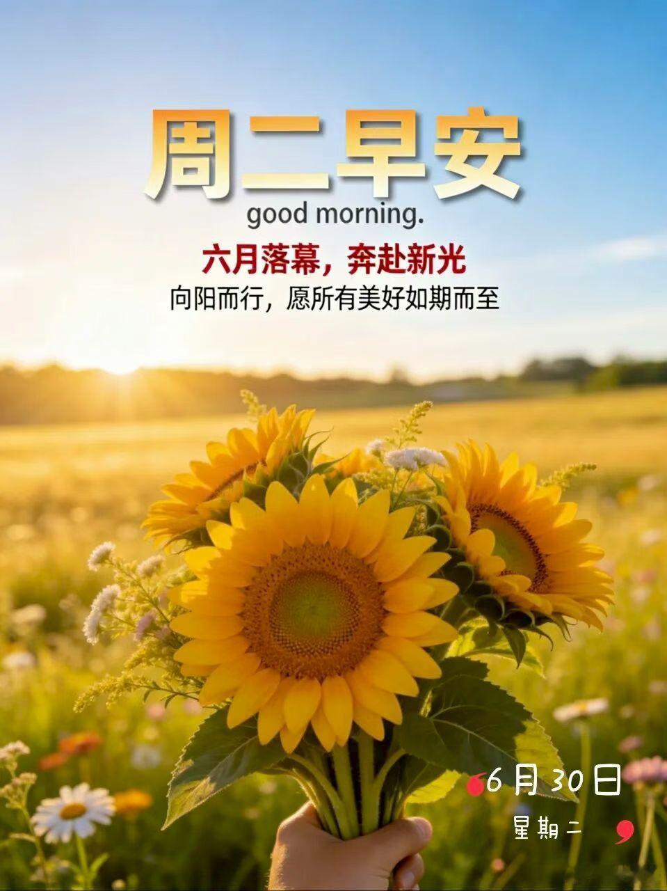 ²⁰²⁶/₀₆.₃₀ ᵕ̈🌞用最后一天的仪式感，致敬过去半年的所有努力。然后，