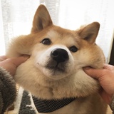 钱暄热读体育