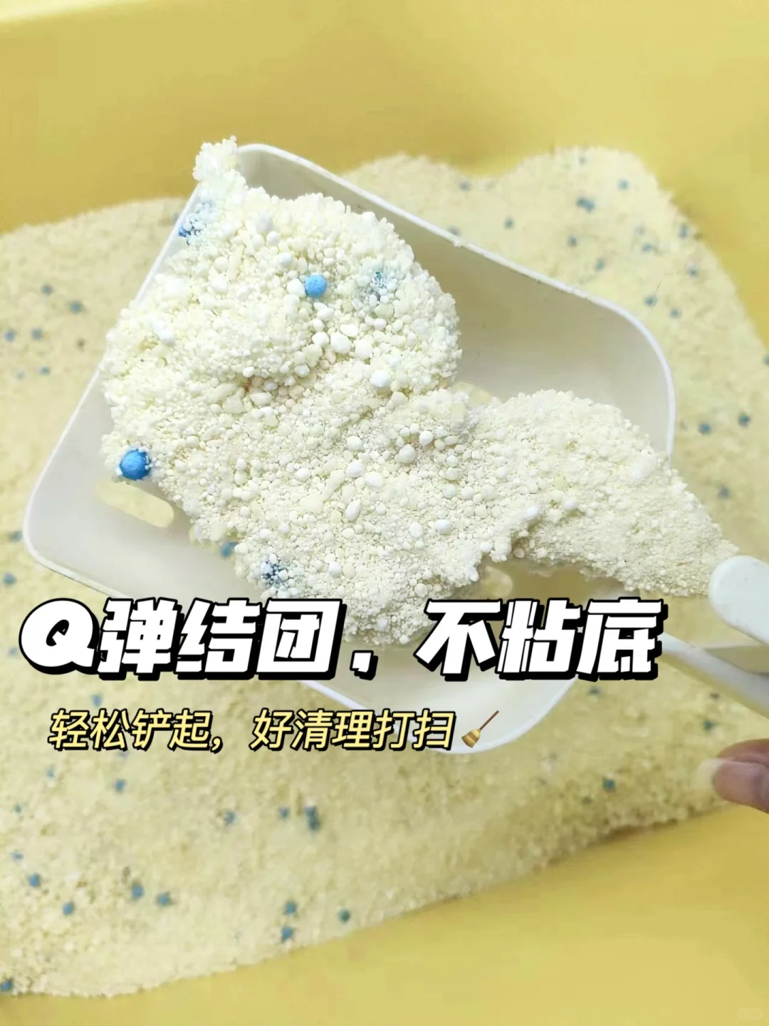 平价猫砂挑选攻略，看完再选猫砂！