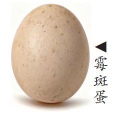 刹车踏板你都能够断，别吹牛了