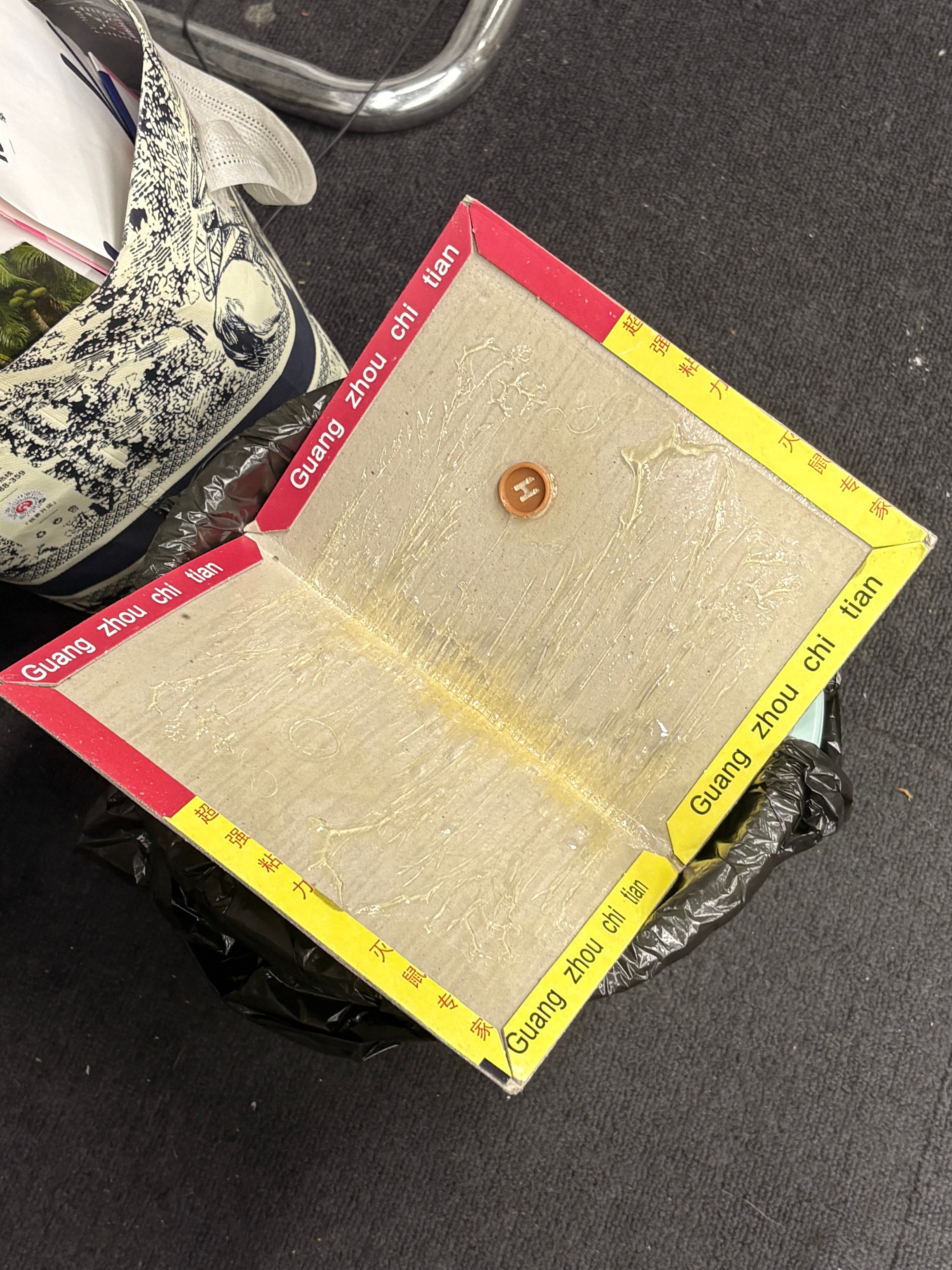 这下 我看🐭还敢不敢翻我垃圾桶了 