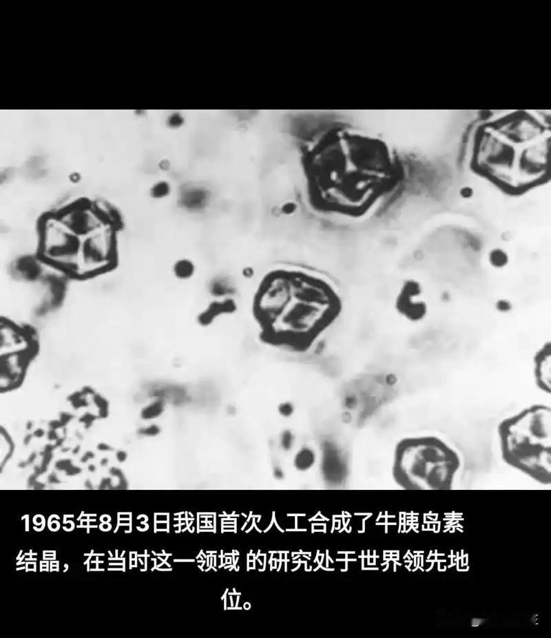 历史上今天：

1965年8月3日（农历七月初七），我国首次人工合成了牛胰岛素结