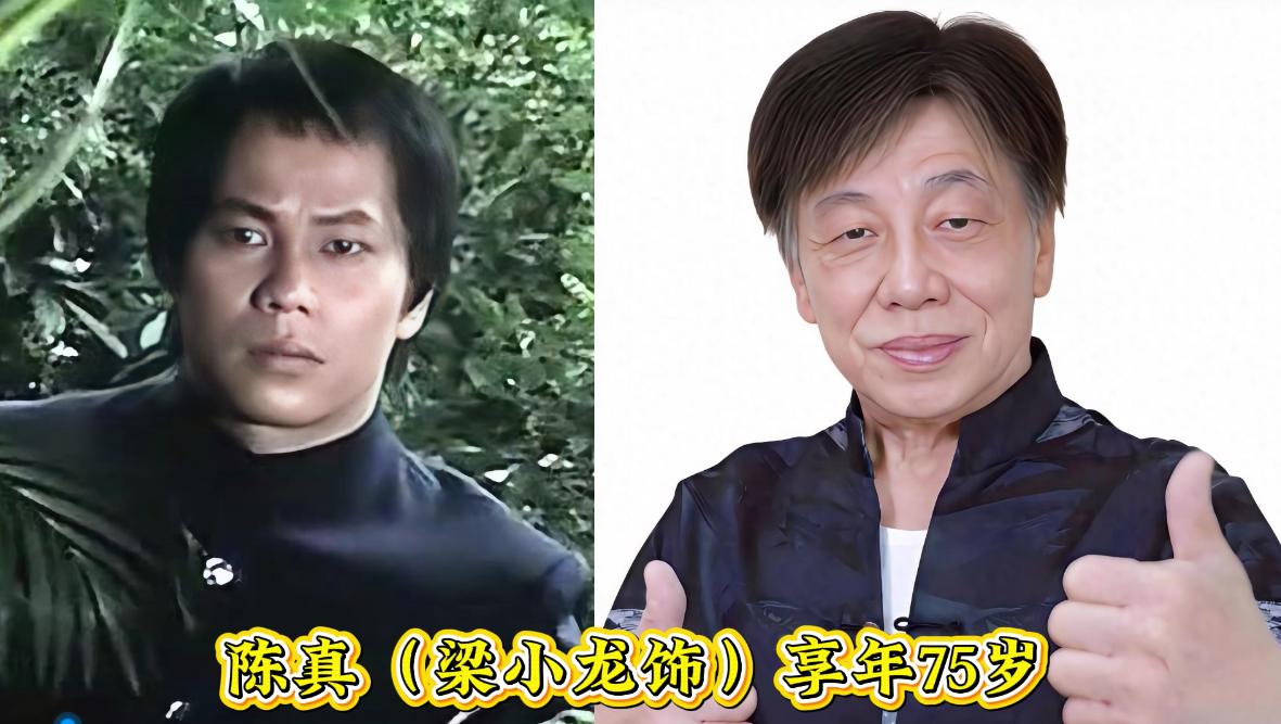 再次看到1981年电视剧《大侠霍元甲》的演员今昔，心里还挺不是滋味，这一晃都过去